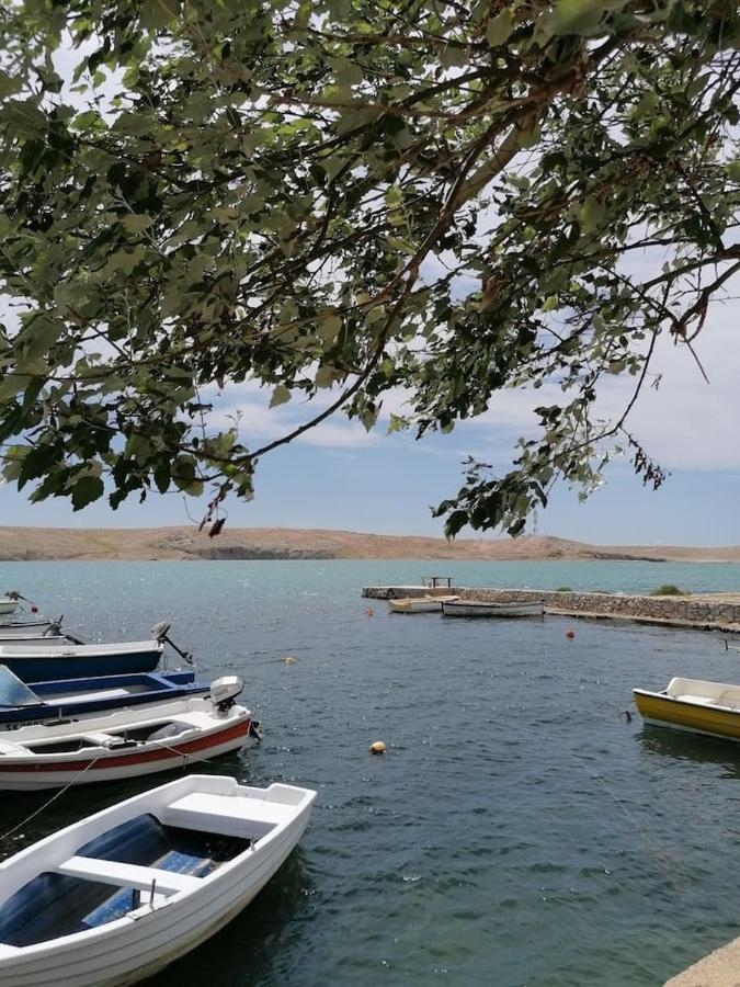 Apartman Lidija Dinjiška Esterno foto