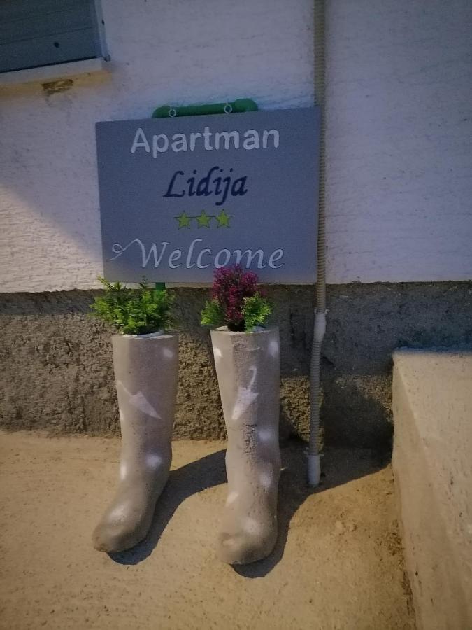 Apartman Lidija Dinjiška Esterno foto